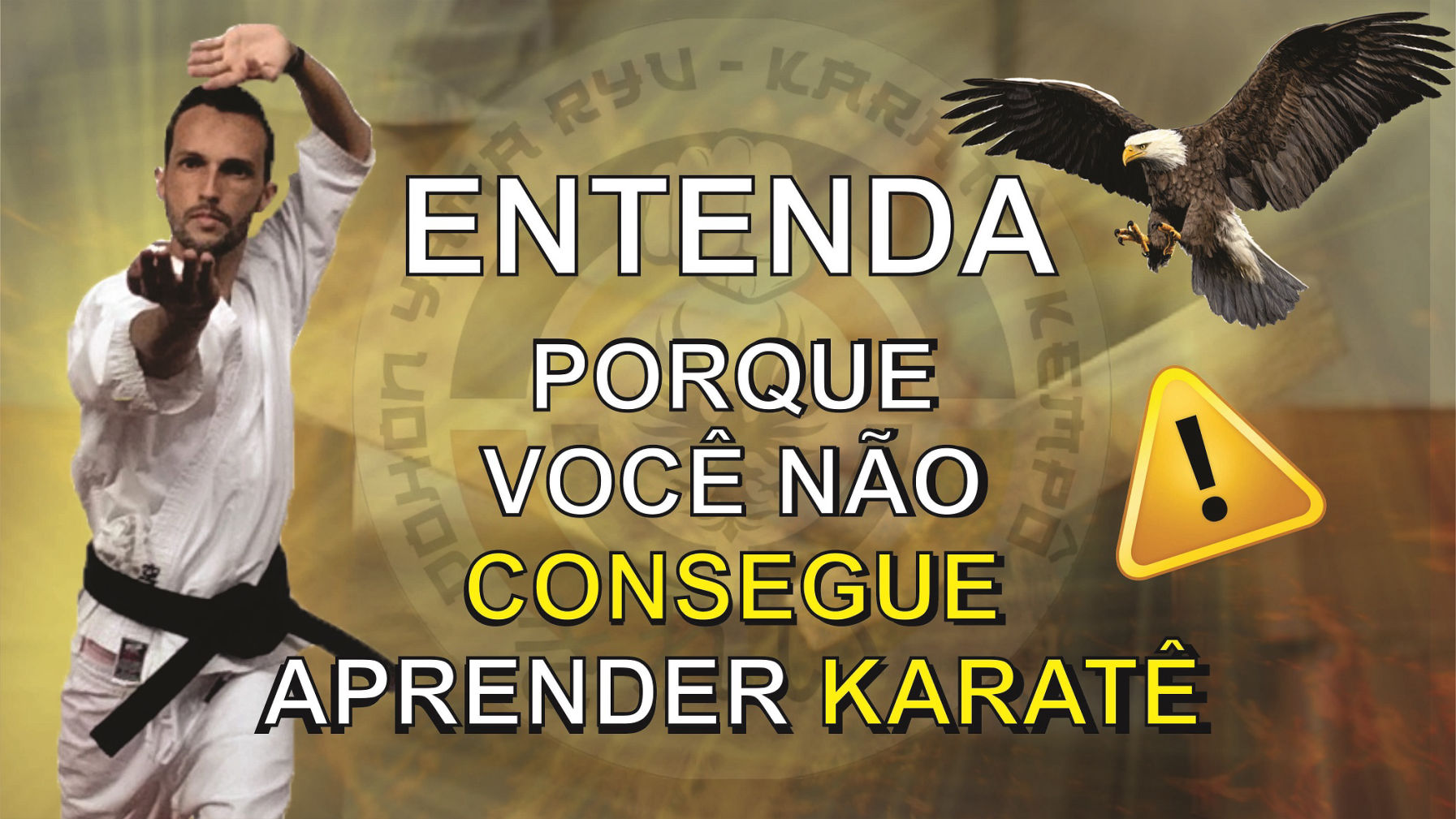 Aprenda Karate Online - Escola de Karate Aguia Kai